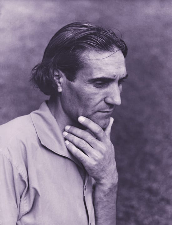Ваклуш Толев, портрет