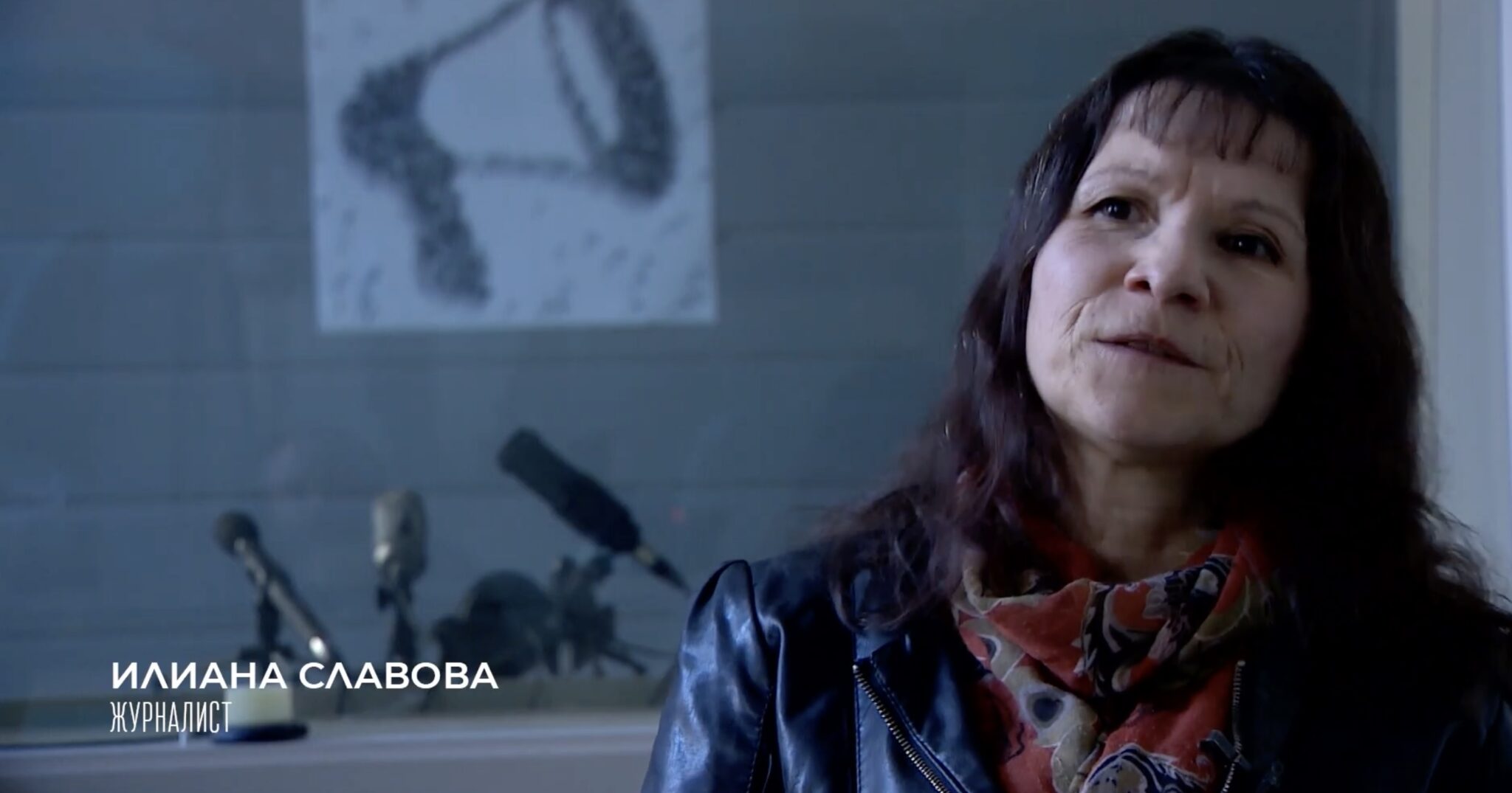Илиана Славова, журналист